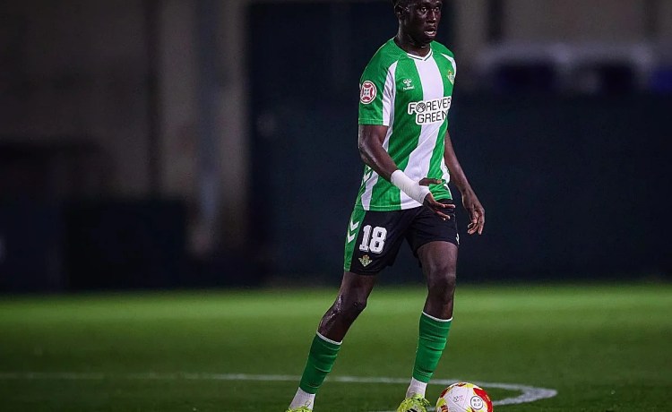 El Betis hace oficial el traspaso de Gnangoro al Rayo El Betis hace oficial el traspaso de Gnangoro al Rayo