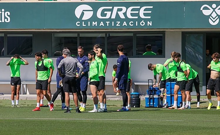 Alineaciones probables del Rayo – Betis de LaLiga EA Sports 2024-2025: onces y banquillo de suplentes Alineaciones probables del Rayo – Betis de LaLiga EA Sports 2024-2025: onces y banquillo de suplentes