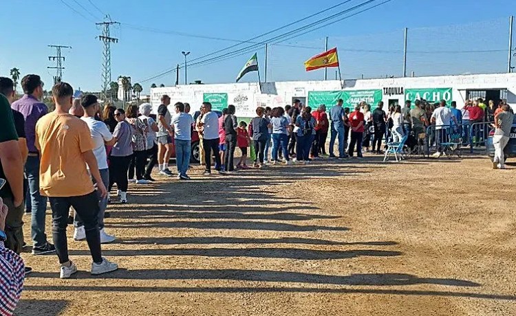 Largas colas en el Municipal de Gévora para conseguir entradas para el partido de la Copa ante el Betis Largas colas en el Municipal de Gévora para conseguir entradas para el partido de la Copa ante el Betis