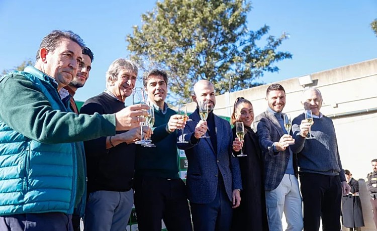 Haro: «Queremos que la misma fiesta del Villamarín se traslade a la Cartuja con 70.000 personas» Haro: «Queremos que la misma fiesta del Villamarín se traslade a la Cartuja con 70.000 personas»