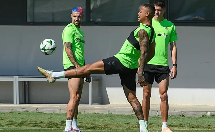 Aitor Ruibal: «Tenemos que afrontarlo con muchísima ilusión y ganas para traer la Copa a Sevilla» Aitor Ruibal: «Tenemos que afrontarlo con muchísima ilusión y ganas para traer la Copa a Sevilla»