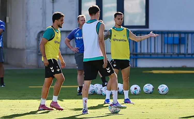 Fornals participa en el entrenamiento del Betis tras jugar con España Fornals participa en el entrenamiento del Betis tras jugar con España