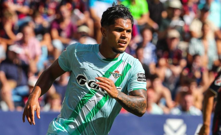 La ausencia del Cucho agrava un ‘lunar’ del Betis en la planificación de verano La ausencia del Cucho agrava un ‘lunar’ del Betis en la planificación de verano