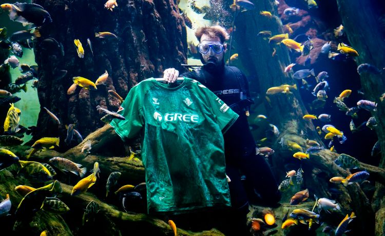 Betis – Real Sociedad: Cuarto partido ‘Forever Green’ Betis – Real Sociedad: Cuarto partido ‘Forever Green’