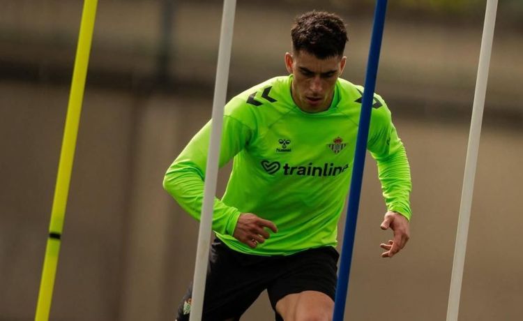 Un avance positivo en la lesión de Marc Roca con el Betis Un avance positivo en la lesión de Marc Roca con el Betis