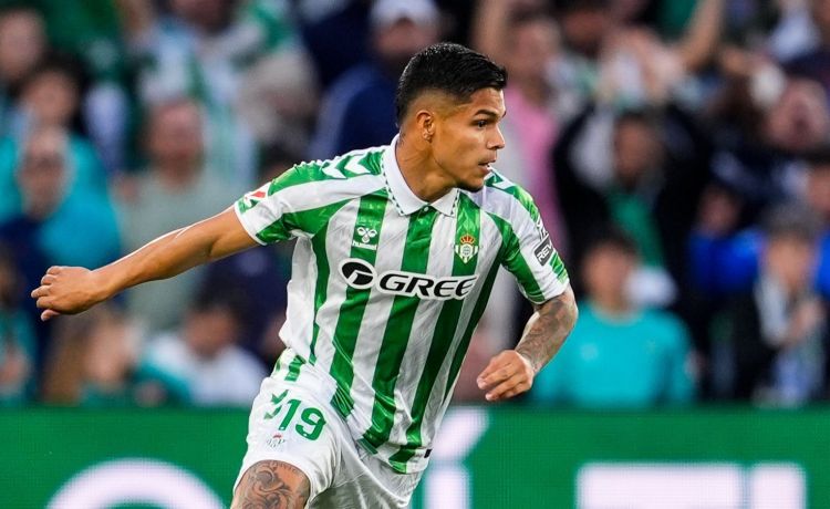Alineación probable del Betis ante la Las Palmas: el deber del Cucho Hernández Alineación probable del Betis ante la Las Palmas: el deber del Cucho Hernández