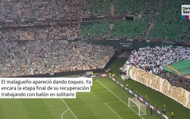Así lucía La Cartuja con el tifo dirigido a la final de Estambul y la presencia del Betis Así lucía La Cartuja con el tifo dirigido a la final de Estambul y la presencia del Betis