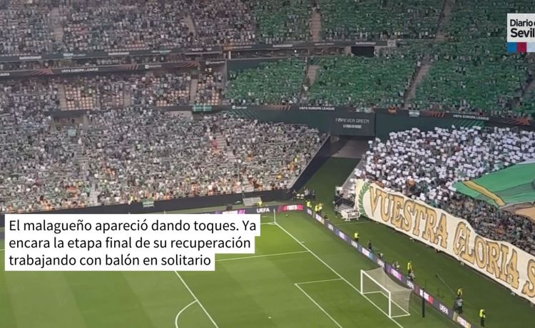 Así lucía La Cartuja con el tifo dirigido a la final de Estambul y la presencia del Betis Así lucía La Cartuja con el tifo dirigido a la final de Estambul y la presencia del Betis