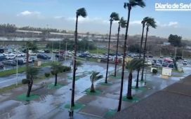 La situación en La Cartuja a horas del Betis-Atlético La situación en La Cartuja a horas del Betis-Atlético