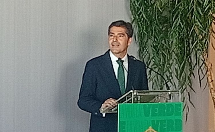 Haro: «Haremos una plantilla para cumplir con los objetivos del Betis» Haro: «Haremos una plantilla para cumplir con los objetivos del Betis»