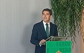 Haro: «Haremos una plantilla para cumplir con los objetivos del Betis» Haro: «Haremos una plantilla para cumplir con los objetivos del Betis»