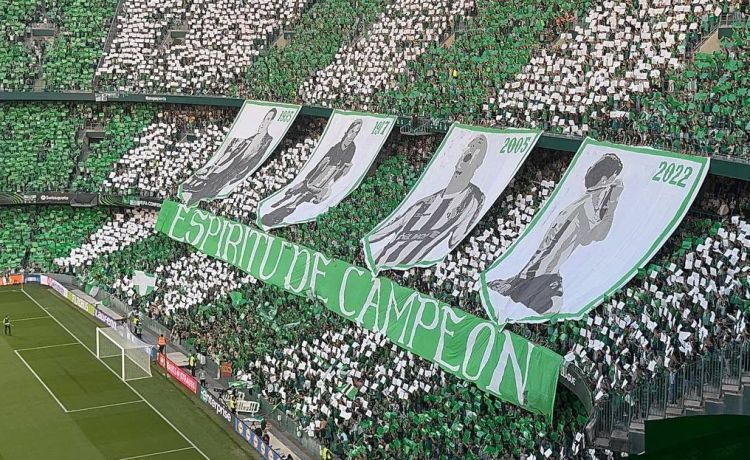 Así ha sido el espectacular tifo de la afición del Betis ante la Fiorentina: recuerdo a los títulos y sus héroes Así ha sido el espectacular tifo de la afición del Betis ante la Fiorentina: recuerdo a los títulos y sus héroes