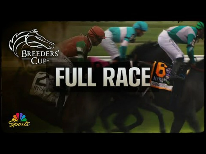 Journalism wins the -million Haskell Stakes to earn journey to Breeders’ Cup Journalism wins the -million Haskell Stakes to earn journey to Breeders’ Cup