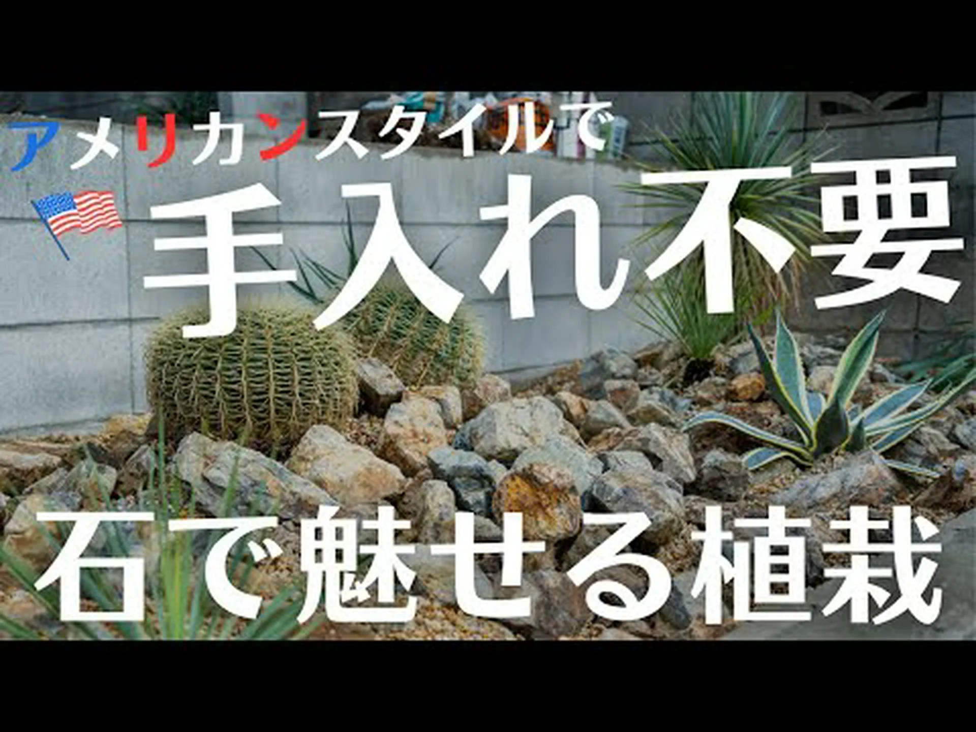 プールサイドの造園: 植栽エリアを成功させるためのアドバイス プールサイドの造園: 植栽エリアを成功させるためのアドバイス
