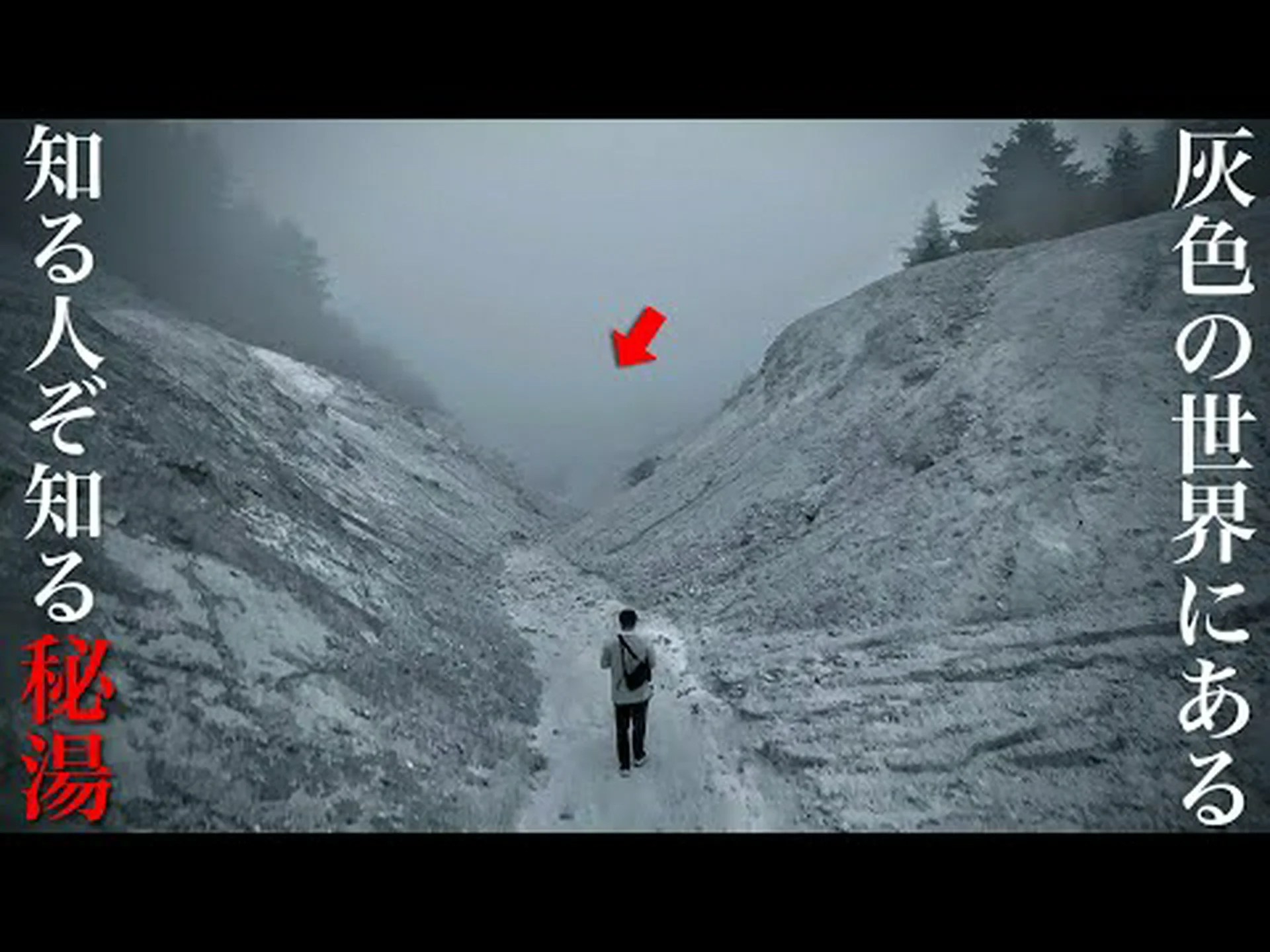 屋外シャワーに関する 6 つの感動的な温かいアイデア: 庭やプールに欠かせないもの 屋外シャワーに関する 6 つの感動的な温かいアイデア: 庭やプールに欠かせないもの