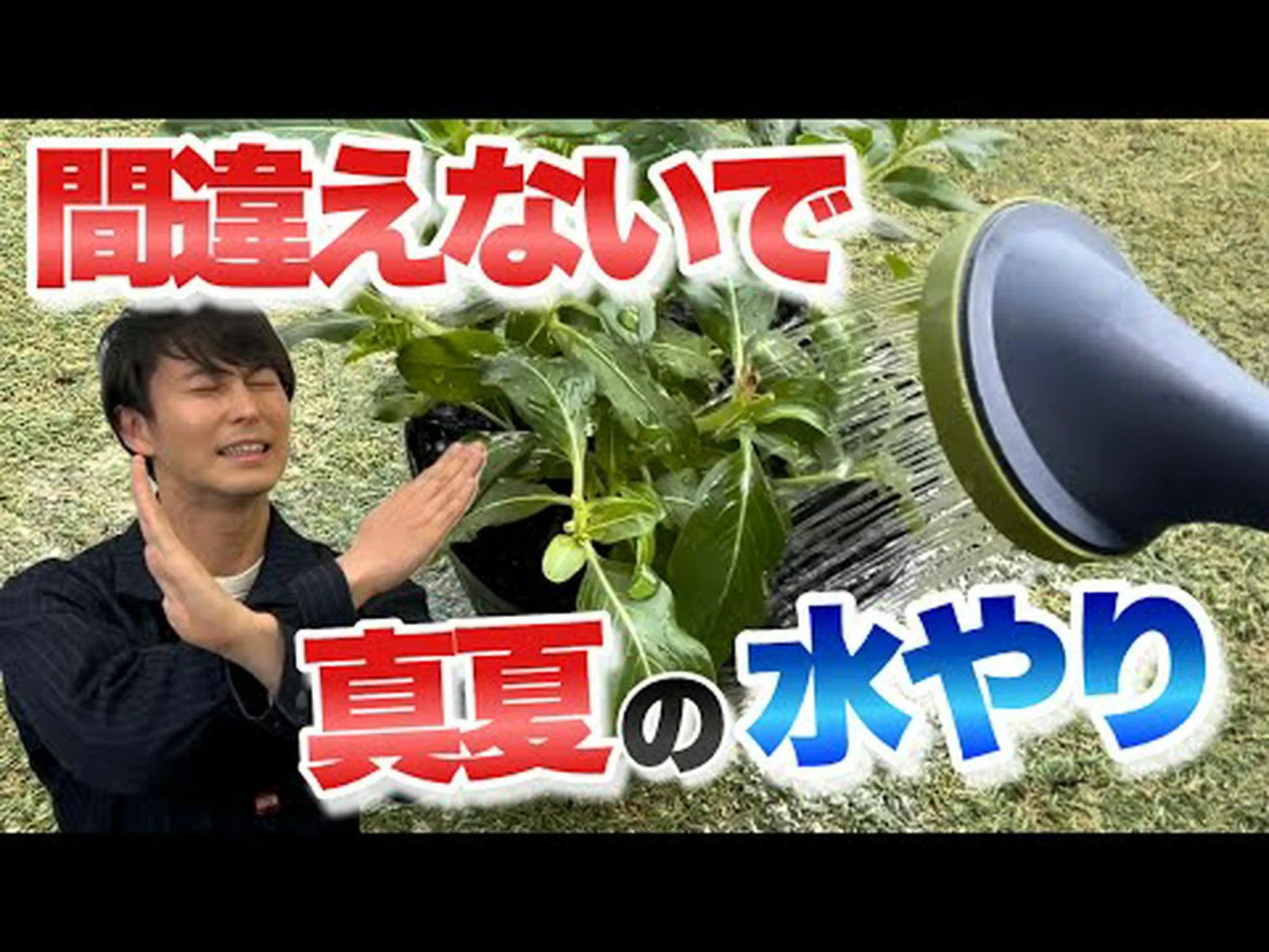 嵐の前後にプールを維持するにはどうすればよいですか?きれいな水を見つけるために知っておくべきことすべて 嵐の前後にプールを維持するにはどうすればよいですか?きれいな水を見つけるために知っておくべきことすべて