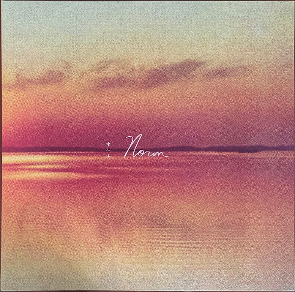 SHAUF ANDY_NORM (LP)