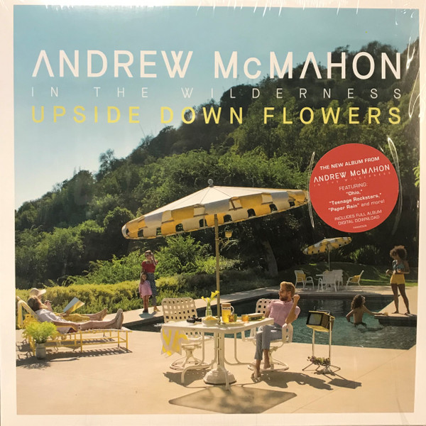 ANDREW MCMAHON IN THE WILDERNESS_UPSIDE DOWN FLOWERS (LP)