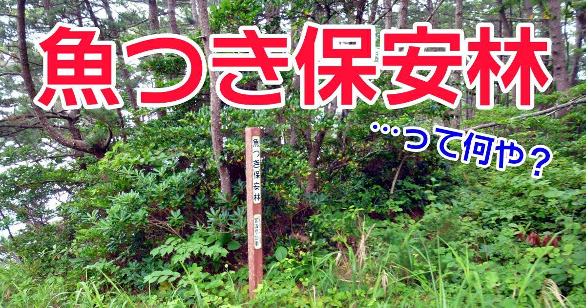 南三陸町の「魚つき保安林」 南三陸町の「魚つき保安林」