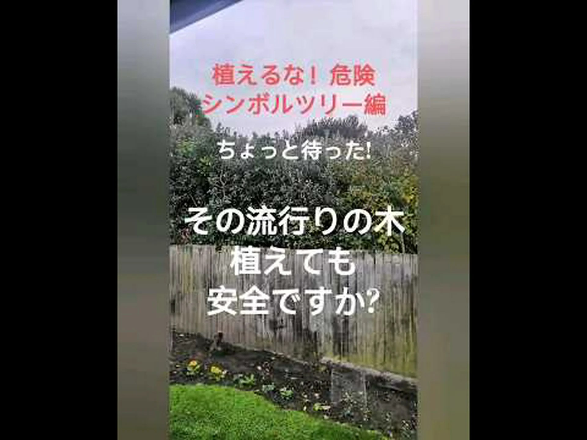 Android ユーザーが珍しいシンボルを発見 - いくつかの実用的な機能がアクティブになります Android ユーザーが珍しいシンボルを発見 - いくつかの実用的な機能がアクティブになります
