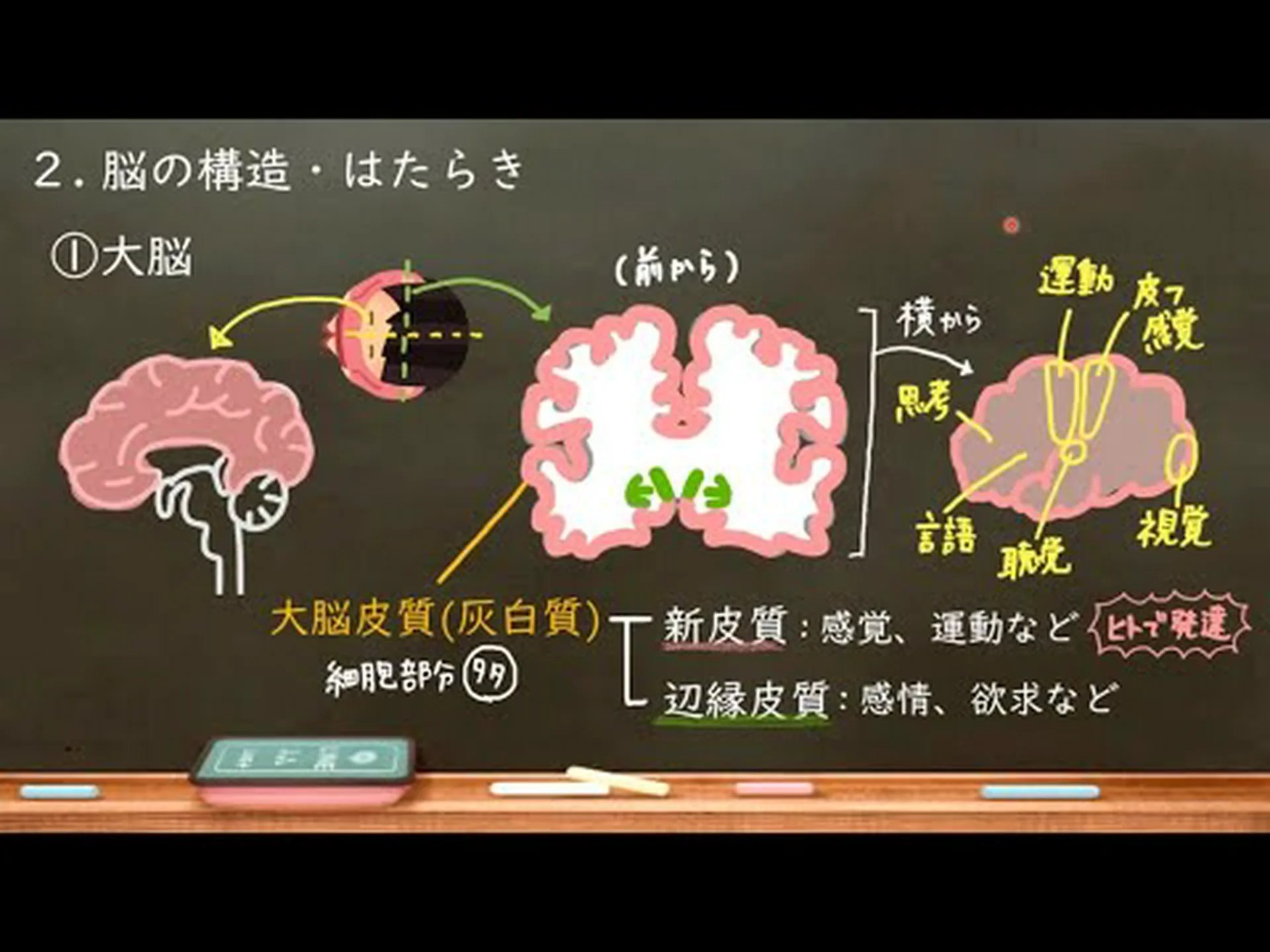 神経生物学者は脳からのデータを保護する必要があると要求 神経生物学者は脳からのデータを保護する必要があると要求