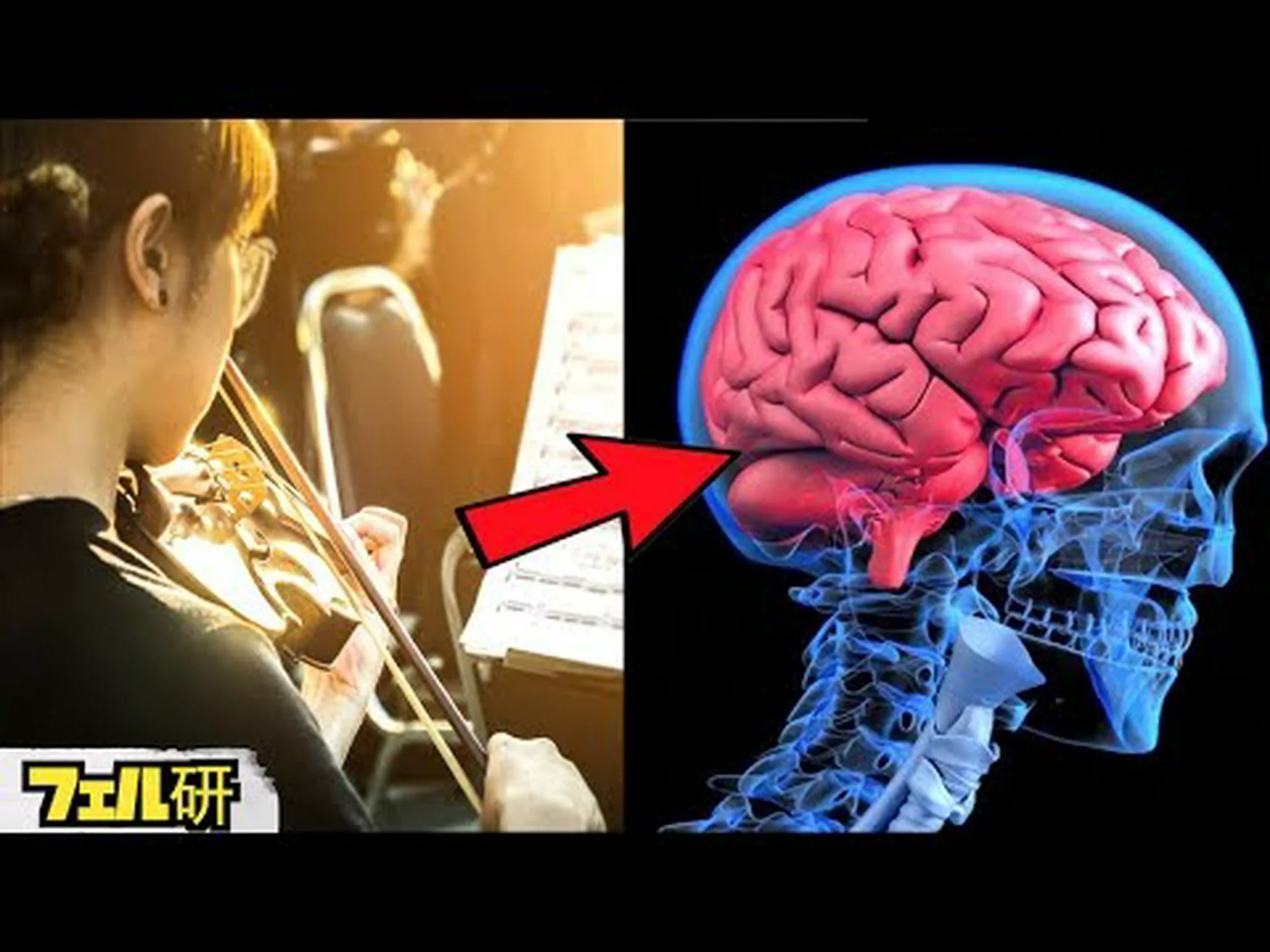 神経科学: 脳はどのようにして好きな音楽を決めるのか 神経科学: 脳はどのようにして好きな音楽を決めるのか