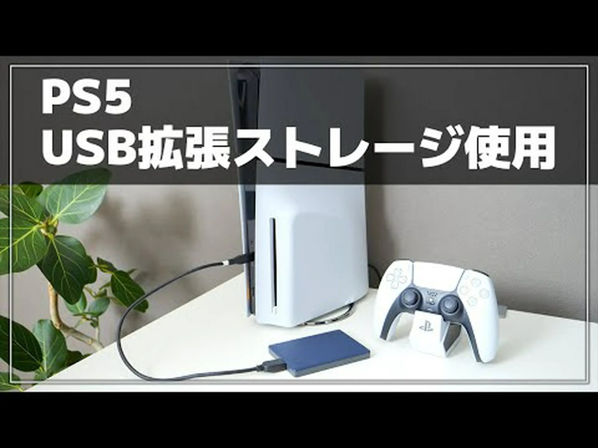 PS5 の内部ストレージを簡単に増やす方法 PS5 の内部ストレージを簡単に増やす方法