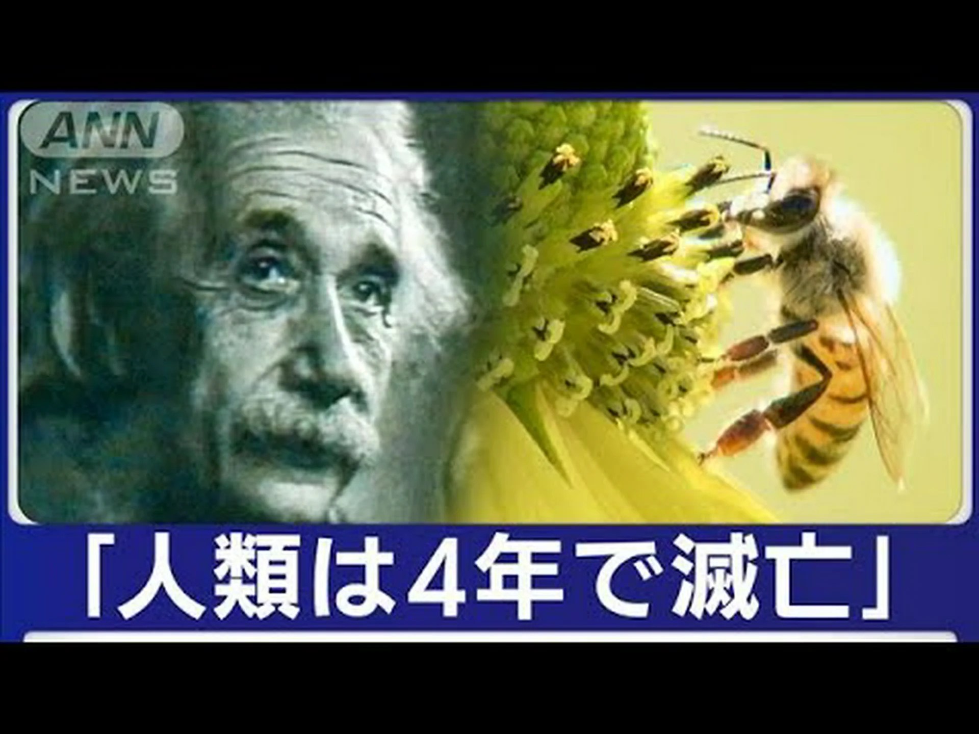 新しい研究が警鐘を鳴らす:異常気象は数十億人を脅かす 新しい研究が警鐘を鳴らす:異常気象は数十億人を脅かす