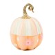 rosy stripe flower power pumpkin 95 rosy stripe flower power pumpkin 95