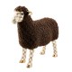 mocha large sheep 45 mocha large sheep 45