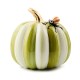 fergals friend spider on small moss stripe pumpkin 70 fergals friend spider on small moss stripe pumpkin 70