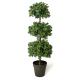 Boxwood Triple Ball Topiary Urn Filler 1 Boxwood Triple Ball Topiary Urn Filler 1