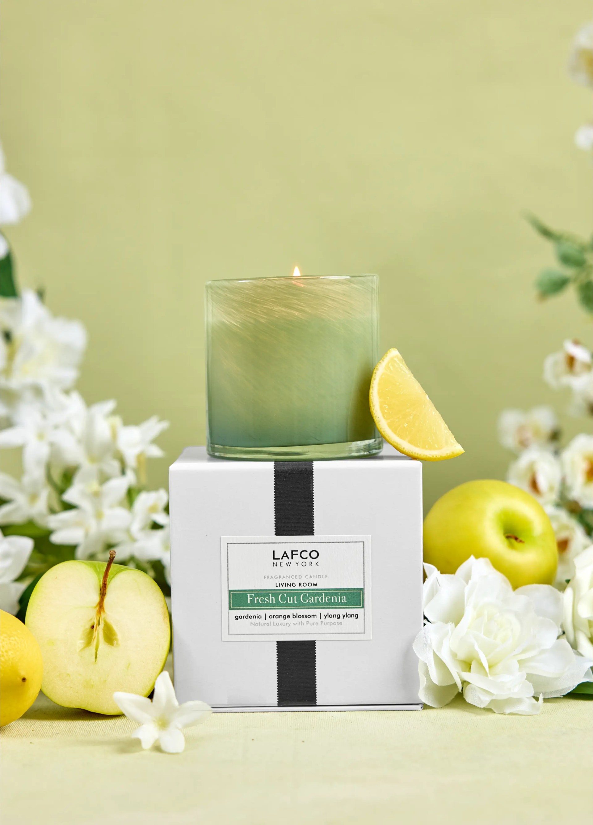 Fresh Cut Gardenia Classic Candle6.5oz 24 Fresh Cut Gardenia Classic Candle6.5oz 24