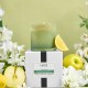 Fresh Cut Gardenia Classic Candle6.5oz 24 Fresh Cut Gardenia Classic Candle6.5oz 24