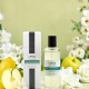 Fresh Cut Gardenia Odor Removing Room Spray 16 Fresh Cut Gardenia Odor Removing Room Spray 16
