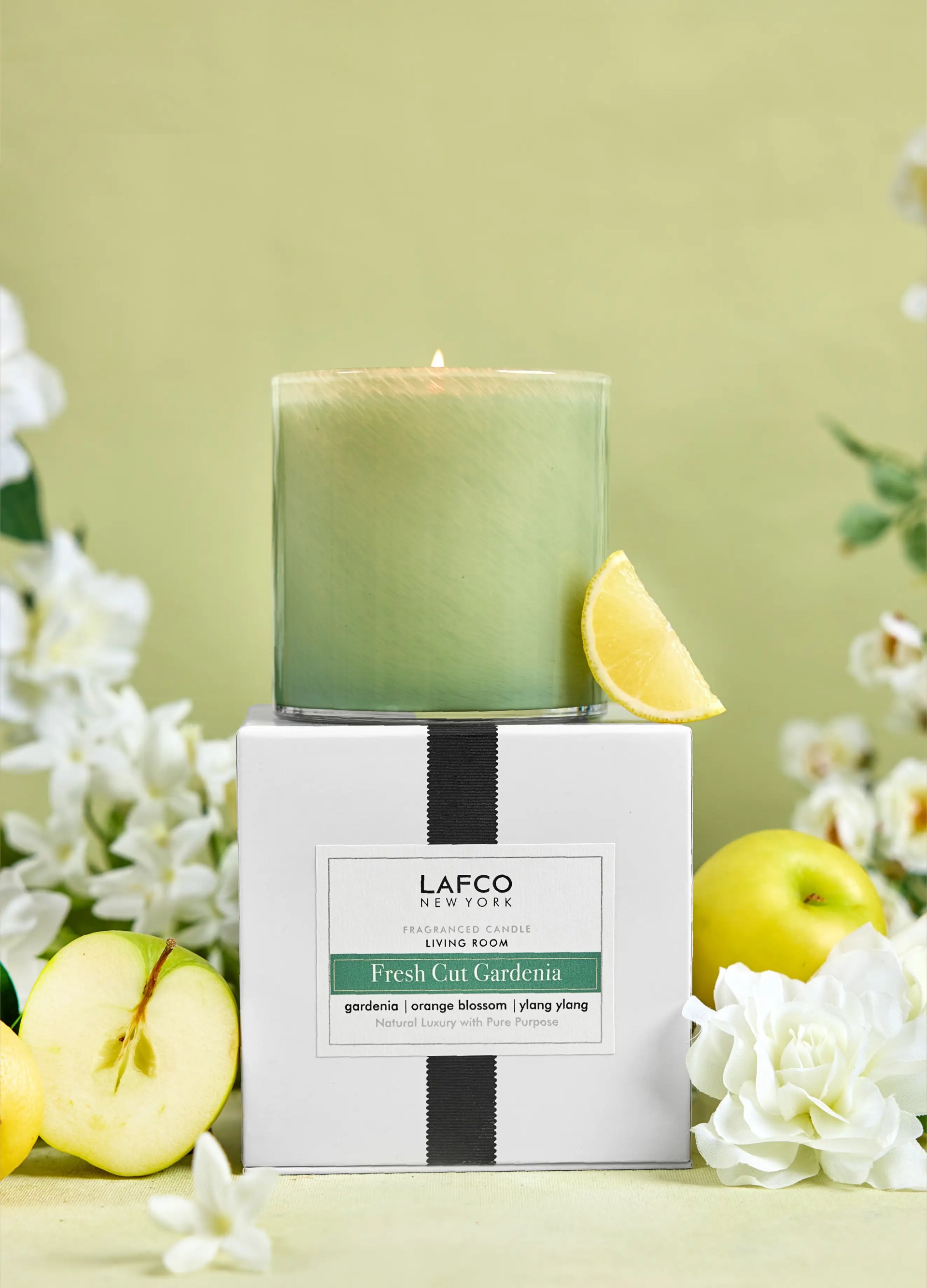 Fresh Cut Gardenia Signature Candle15.5oz 14 Fresh Cut Gardenia Signature Candle15.5oz 14