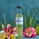 Sea & Dune Diffuser Refill8.4oz 3 Sea & Dune Diffuser Refill8.4oz 3
