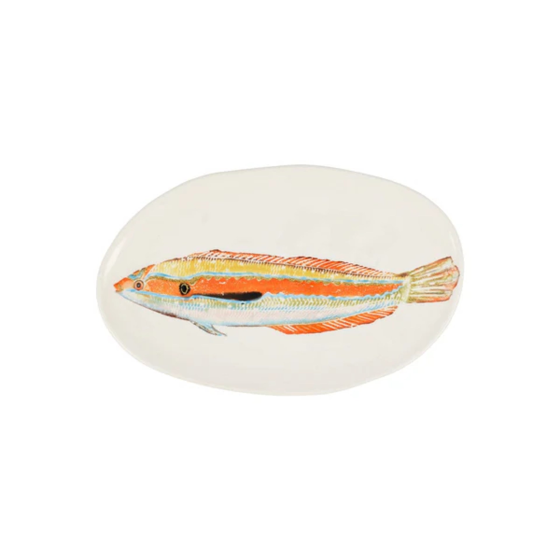 Reef Tropical Rainbow Fish Small Oval Platter 12 Reef Tropical Rainbow Fish Small Oval Platter 12