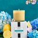 French Lilac Classic Candle 15.5oz 1 French Lilac Classic Candle 15.5oz 1