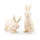 rosy check trophy bunnies, set of 2 54 rosy check trophy bunnies, set of 2 54