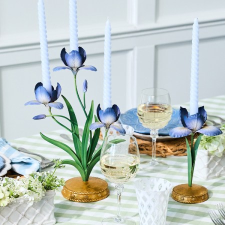 Meadow Walk Iris 14 Meadow Walk Iris 14