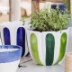 Viva Garden Green Tulip Large Cachepot 33 Viva Garden Green Tulip Large Cachepot 33
