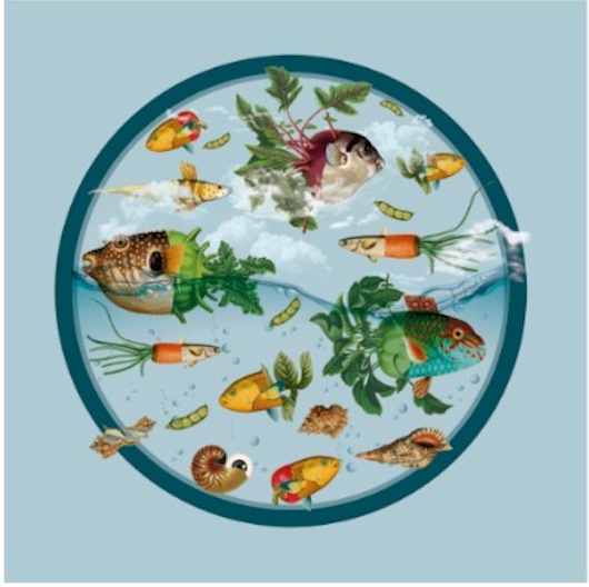 LAZY SUSAN BLUE PECES 48 LAZY SUSAN BLUE PECES 48