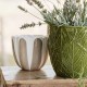 Viva Garden Tan Tulip Small Cachepot 32 Viva Garden Tan Tulip Small Cachepot 32