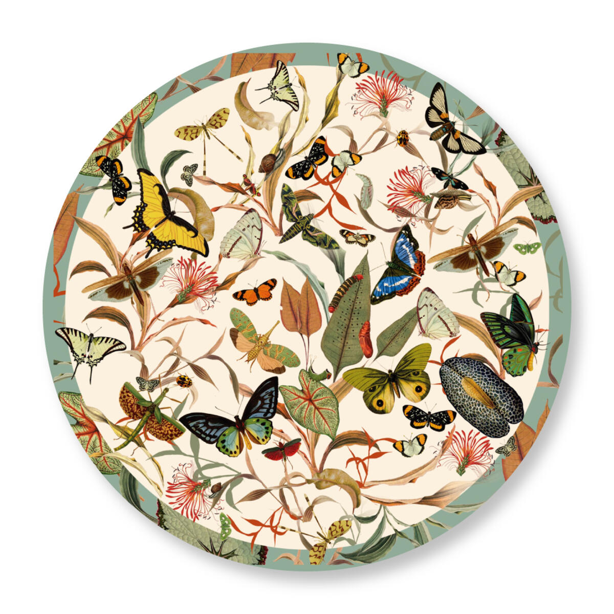 LAZY SUSAN AQUA BUTTERFLY 20 LAZY SUSAN AQUA BUTTERFLY 20