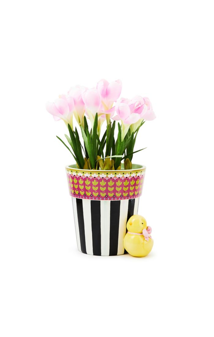 calico potted crocus with chick 21 calico potted crocus with chick 21