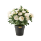 white peony urn filler 46 white peony urn filler 46