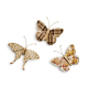 mocha butterfly wall decor trio 85 mocha butterfly wall decor trio 85