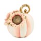 rosy stripe small sunflower pumpkin 77 rosy stripe small sunflower pumpkin 77
