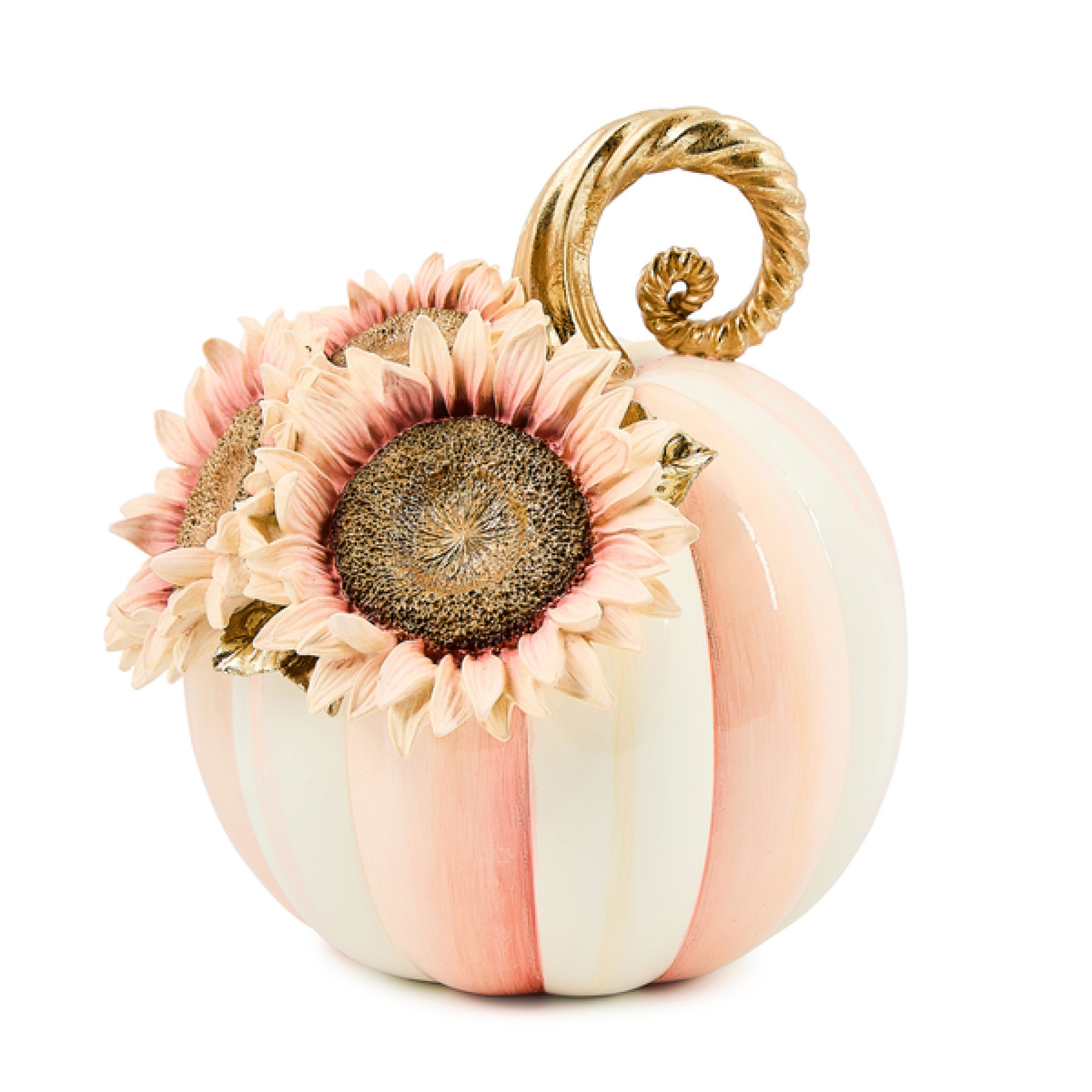 rosy stripe small sunflower pumpkin 77 rosy stripe small sunflower pumpkin 77